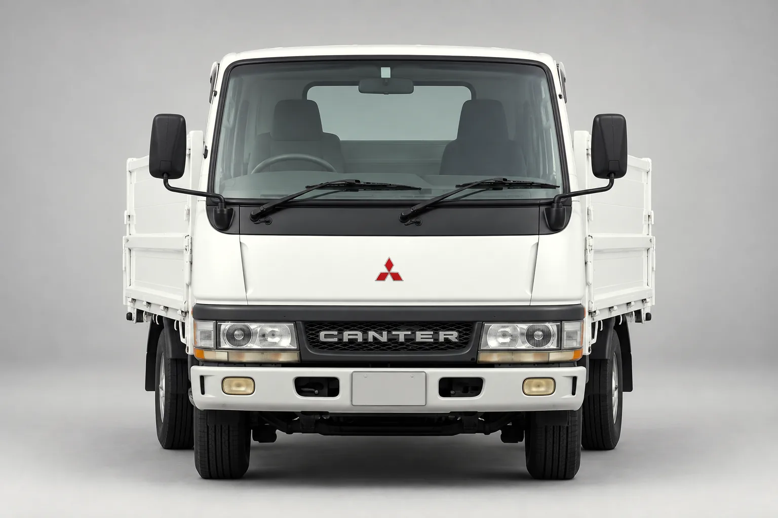 Canter: Vista frontal